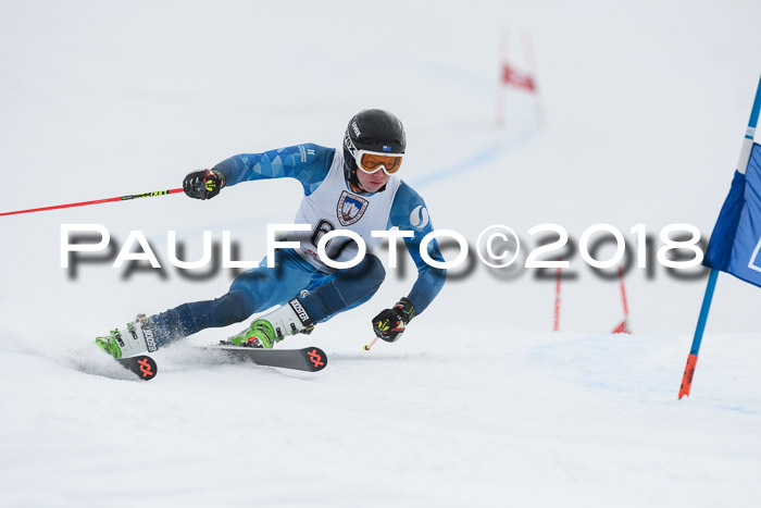 Int. FIS Rennen Herren, RS, Maria Alm 11.01.2018