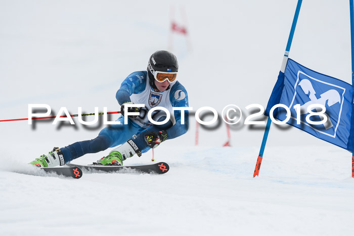 Int. FIS Rennen Herren, RS, Maria Alm 11.01.2018