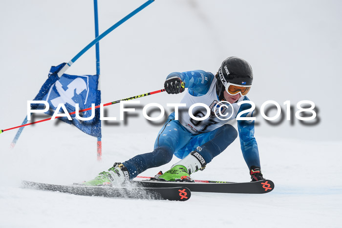 Int. FIS Rennen Herren, RS, Maria Alm 11.01.2018