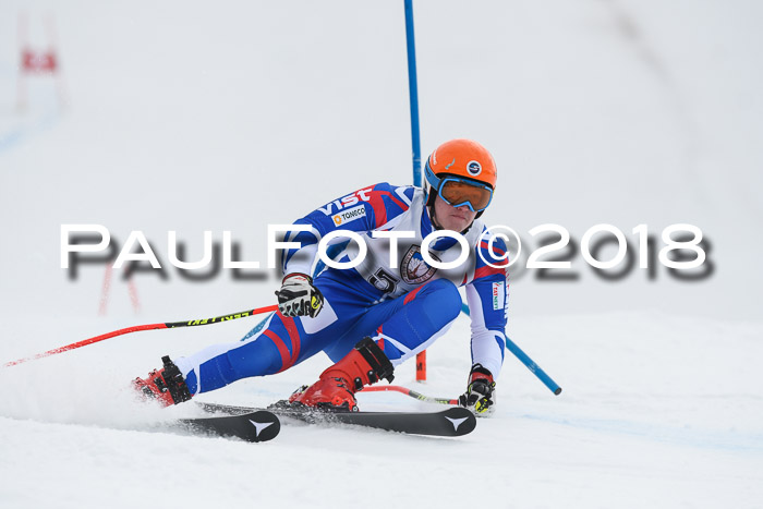 Int. FIS Rennen Herren, RS, Maria Alm 11.01.2018