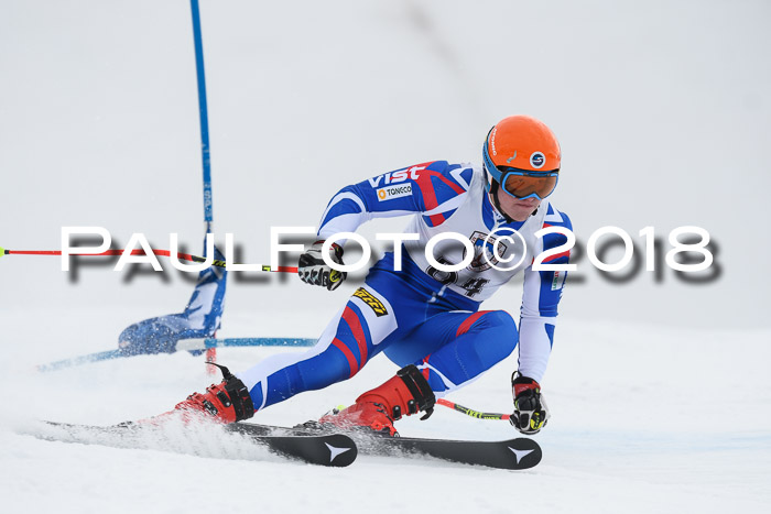 Int. FIS Rennen Herren, RS, Maria Alm 11.01.2018