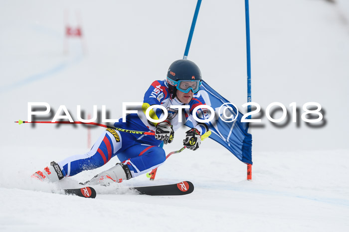 Int. FIS Rennen Herren, RS, Maria Alm 11.01.2018