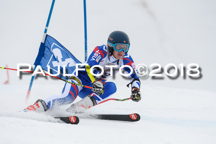 Int. FIS Rennen Herren, RS, Maria Alm 11.01.2018