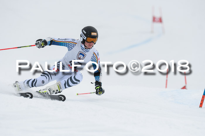 Int. FIS Rennen Herren, RS, Maria Alm 11.01.2018