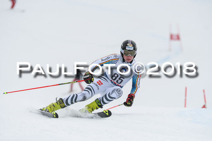 Int. FIS Rennen Herren, RS, Maria Alm 11.01.2018