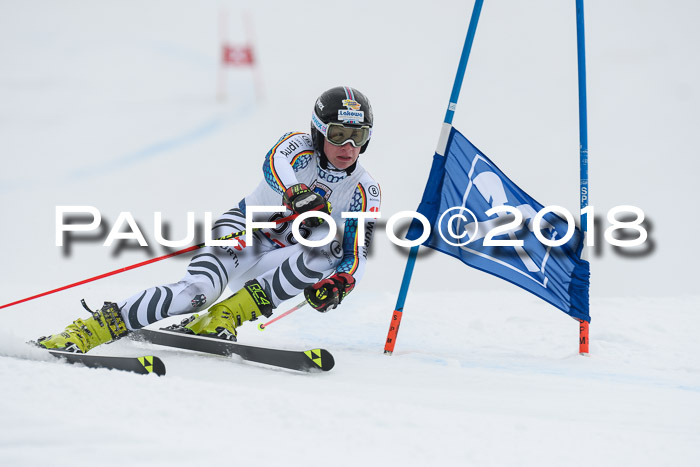 Int. FIS Rennen Herren, RS, Maria Alm 11.01.2018