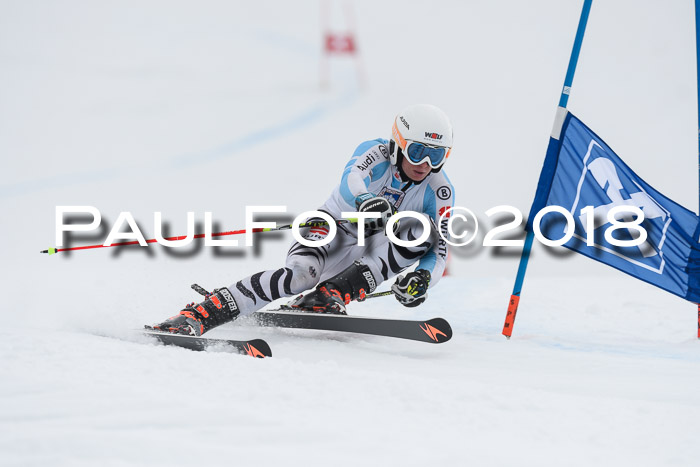 Int. FIS Rennen Herren, RS, Maria Alm 11.01.2018