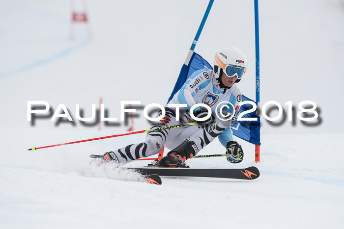 Int. FIS Rennen Herren, RS, Maria Alm 11.01.2018