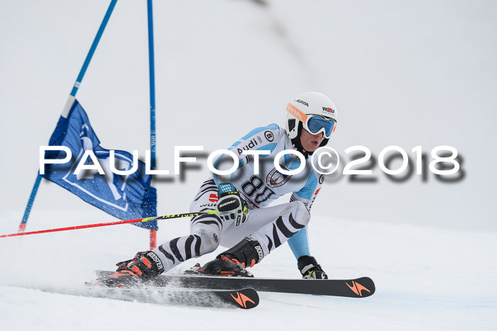 Int. FIS Rennen Herren, RS, Maria Alm 11.01.2018