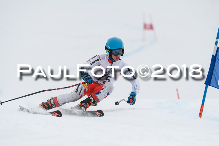 Int. FIS Rennen Herren, RS, Maria Alm 11.01.2018