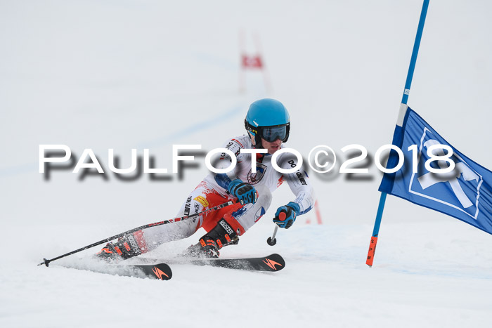 Int. FIS Rennen Herren, RS, Maria Alm 11.01.2018