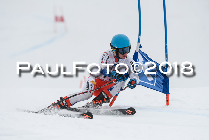 Int. FIS Rennen Herren, RS, Maria Alm 11.01.2018