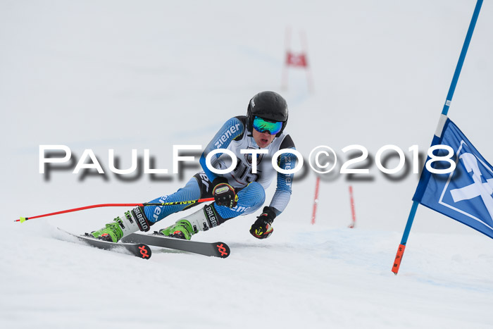 Int. FIS Rennen Herren, RS, Maria Alm 11.01.2018