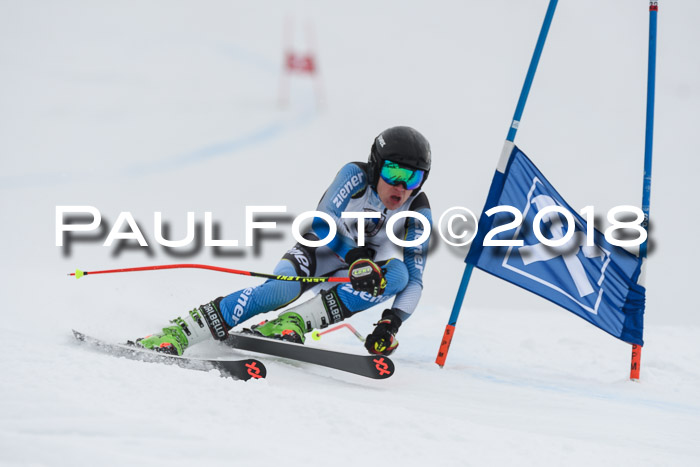 Int. FIS Rennen Herren, RS, Maria Alm 11.01.2018