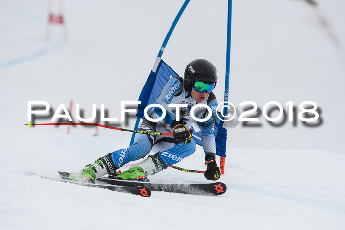 Int. FIS Rennen Herren, RS, Maria Alm 11.01.2018