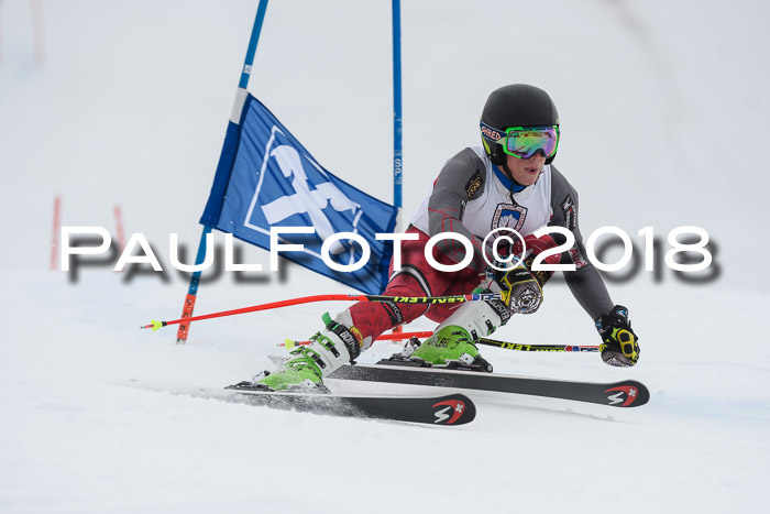 Int. FIS Rennen Herren, RS, Maria Alm 11.01.2018