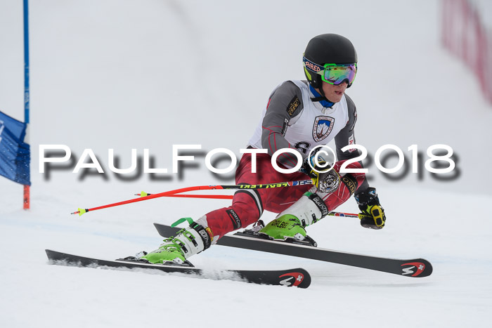 Int. FIS Rennen Herren, RS, Maria Alm 11.01.2018