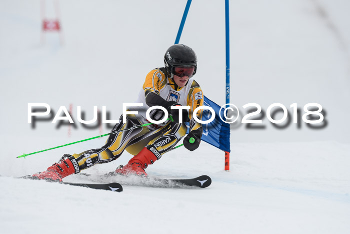 Int. FIS Rennen Herren, RS, Maria Alm 11.01.2018