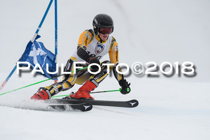 Int. FIS Rennen Herren, RS, Maria Alm 11.01.2018