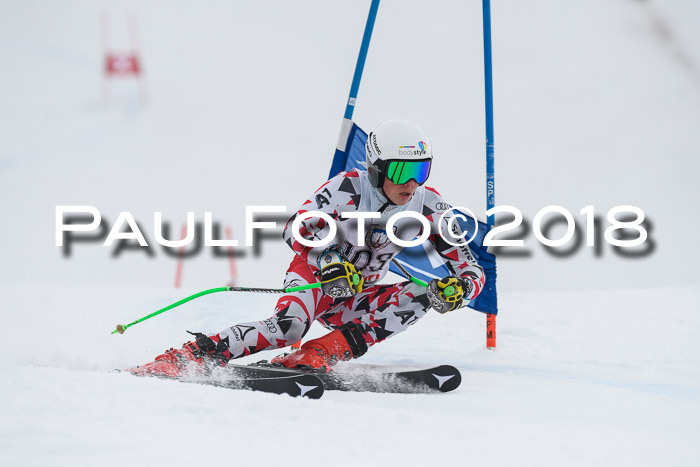 Int. FIS Rennen Herren, RS, Maria Alm 11.01.2018