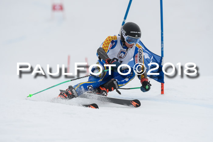 Int. FIS Rennen Herren, RS, Maria Alm 11.01.2018