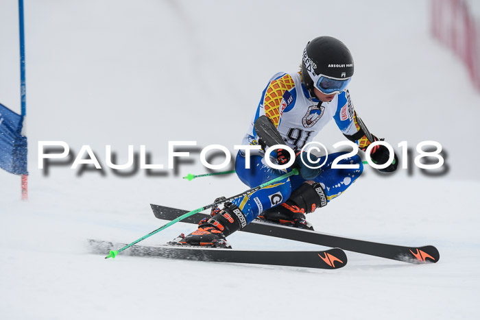 Int. FIS Rennen Herren, RS, Maria Alm 11.01.2018