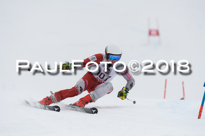 Int. FIS Rennen Herren, RS, Maria Alm 11.01.2018