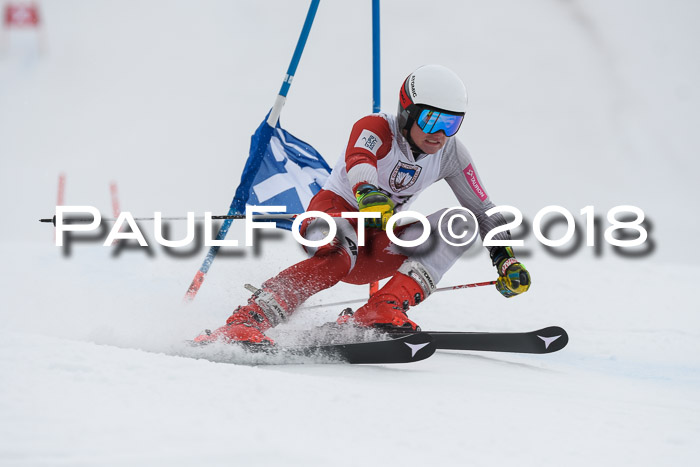 Int. FIS Rennen Herren, RS, Maria Alm 11.01.2018