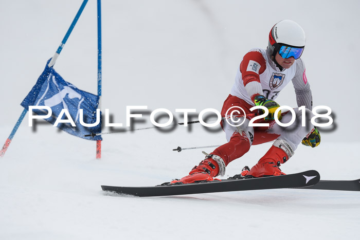 Int. FIS Rennen Herren, RS, Maria Alm 11.01.2018