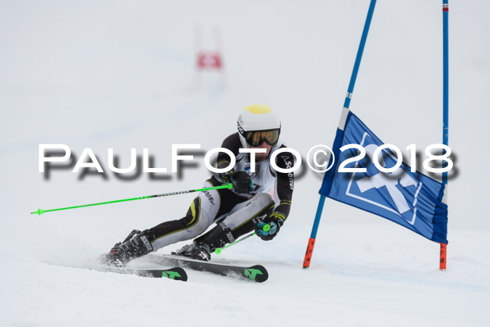 Int. FIS Rennen Herren, RS, Maria Alm 11.01.2018