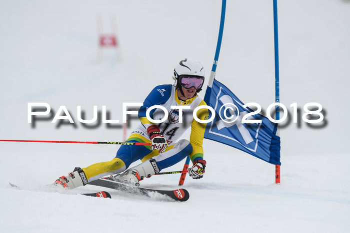 Int. FIS Rennen Herren, RS, Maria Alm 11.01.2018