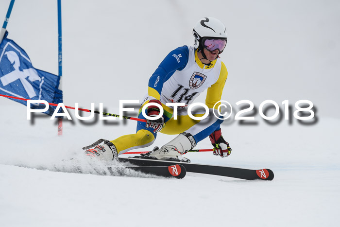 Int. FIS Rennen Herren, RS, Maria Alm 11.01.2018