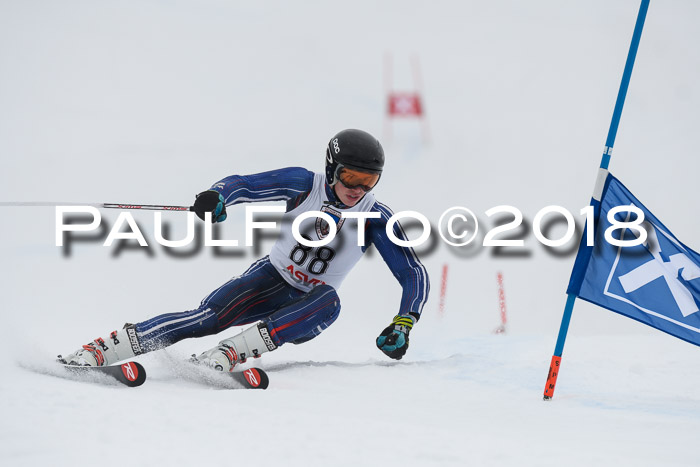 Int. FIS Rennen Herren, RS, Maria Alm 11.01.2018