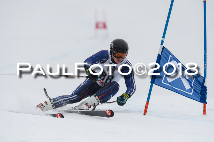 Int. FIS Rennen Herren, RS, Maria Alm 11.01.2018