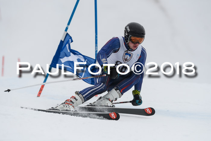 Int. FIS Rennen Herren, RS, Maria Alm 11.01.2018