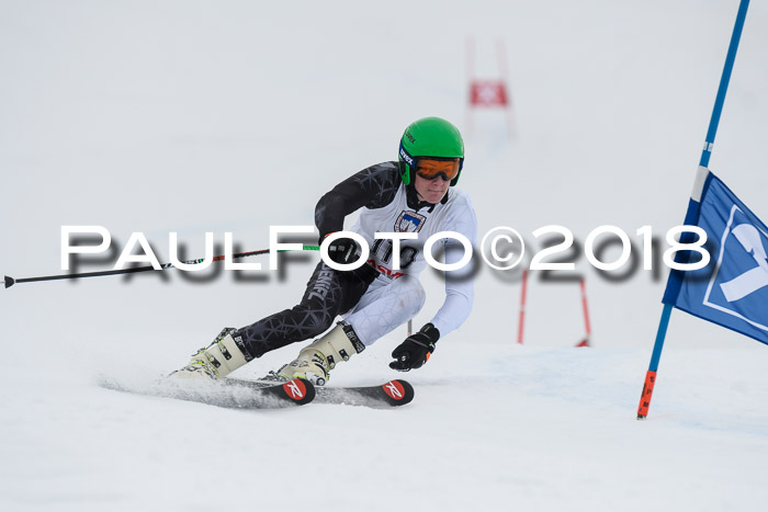 Int. FIS Rennen Herren, RS, Maria Alm 11.01.2018