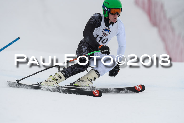 Int. FIS Rennen Herren, RS, Maria Alm 11.01.2018