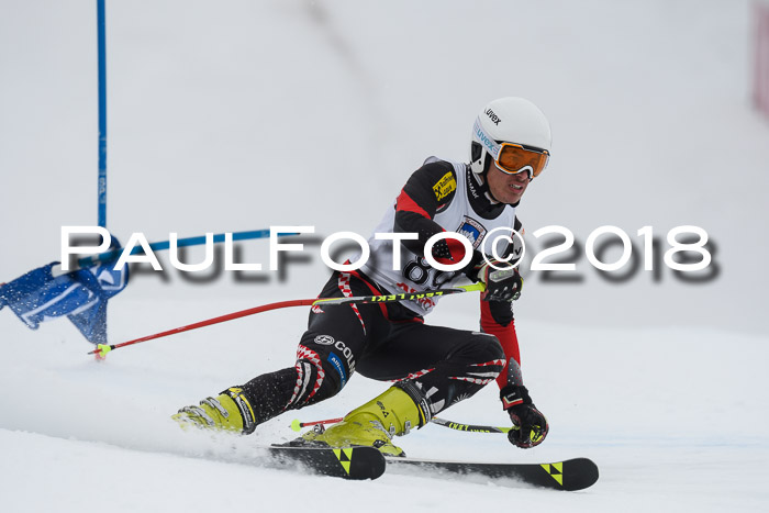 Int. FIS Rennen Herren, RS, Maria Alm 11.01.2018