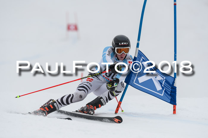 Int. FIS Rennen Herren, RS, Maria Alm 11.01.2018