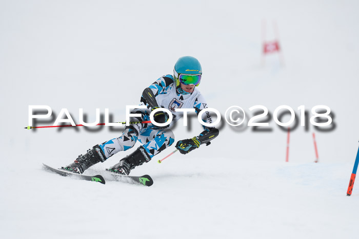 Int. FIS Rennen Herren, RS, Maria Alm 11.01.2018