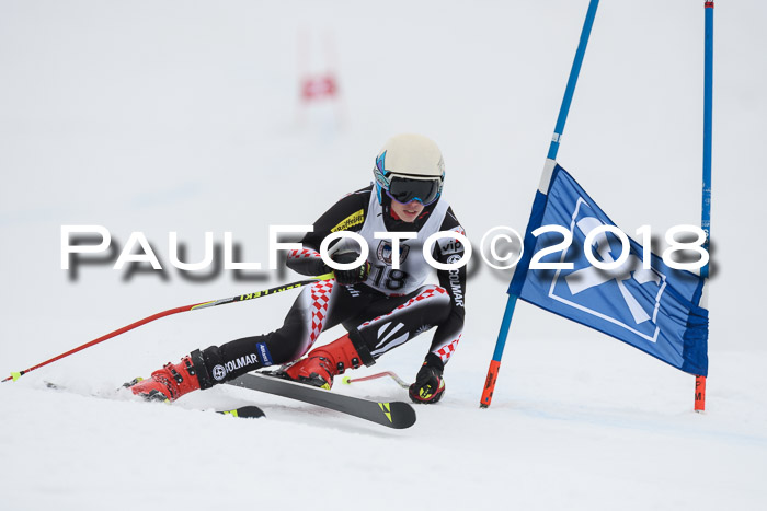 Int. FIS Rennen Herren, RS, Maria Alm 11.01.2018