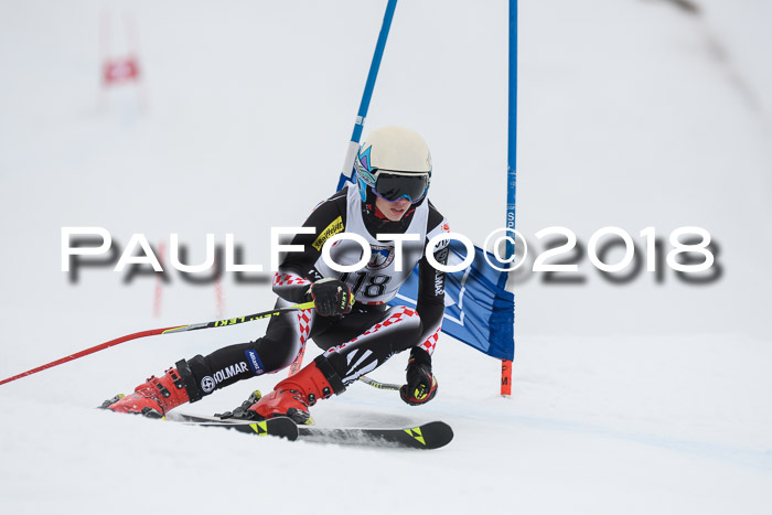 Int. FIS Rennen Herren, RS, Maria Alm 11.01.2018