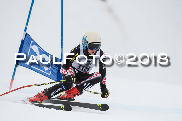 Int. FIS Rennen Herren, RS, Maria Alm 11.01.2018