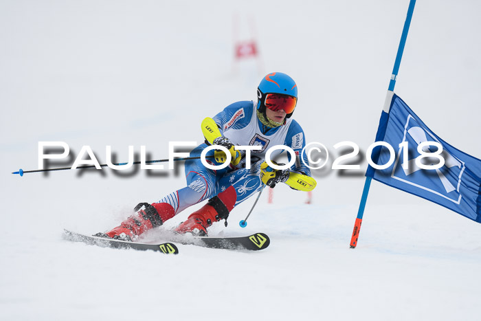 Int. FIS Rennen Herren, RS, Maria Alm 11.01.2018