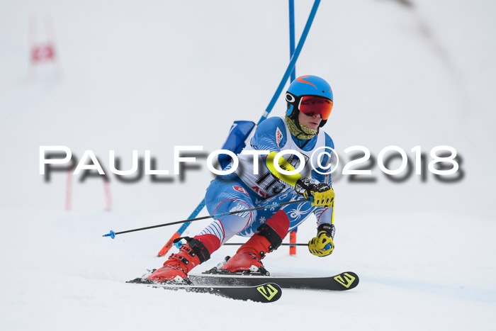 Int. FIS Rennen Herren, RS, Maria Alm 11.01.2018