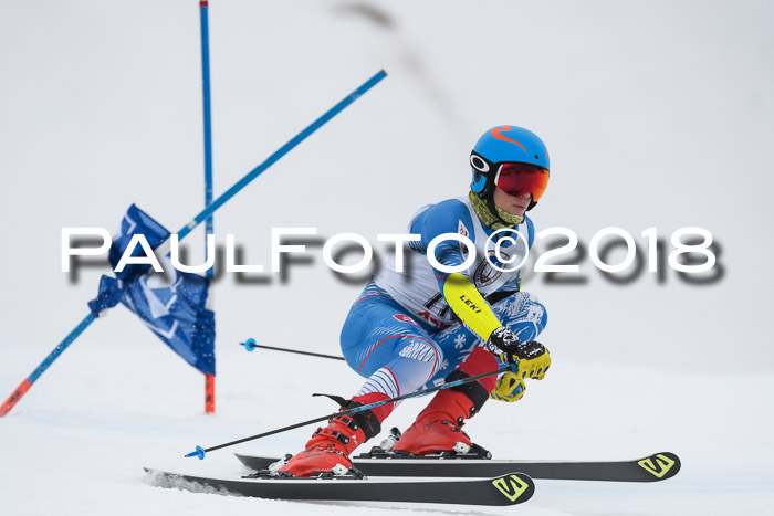 Int. FIS Rennen Herren, RS, Maria Alm 11.01.2018