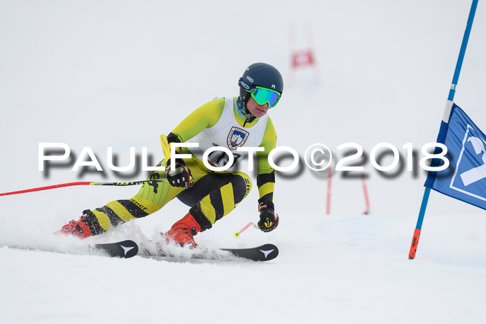 Int. FIS Rennen Herren, RS, Maria Alm 11.01.2018