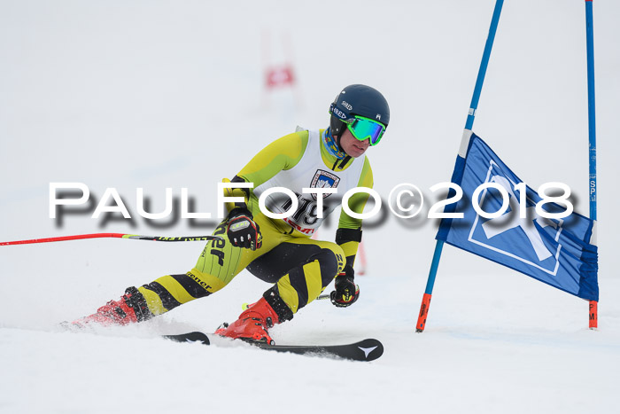 Int. FIS Rennen Herren, RS, Maria Alm 11.01.2018