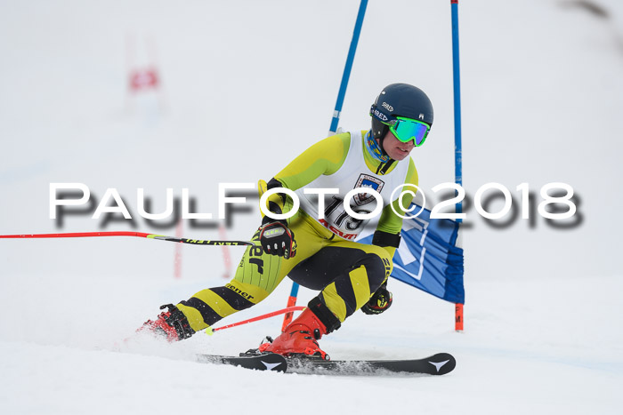 Int. FIS Rennen Herren, RS, Maria Alm 11.01.2018