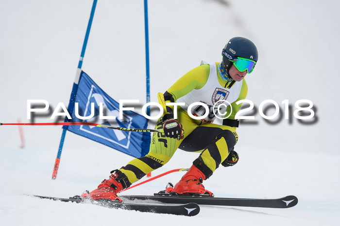 Int. FIS Rennen Herren, RS, Maria Alm 11.01.2018